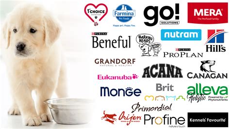 which dog food brands are made in china